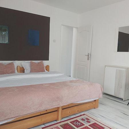 Zoso Home Busteni Ngoại thất bức ảnh