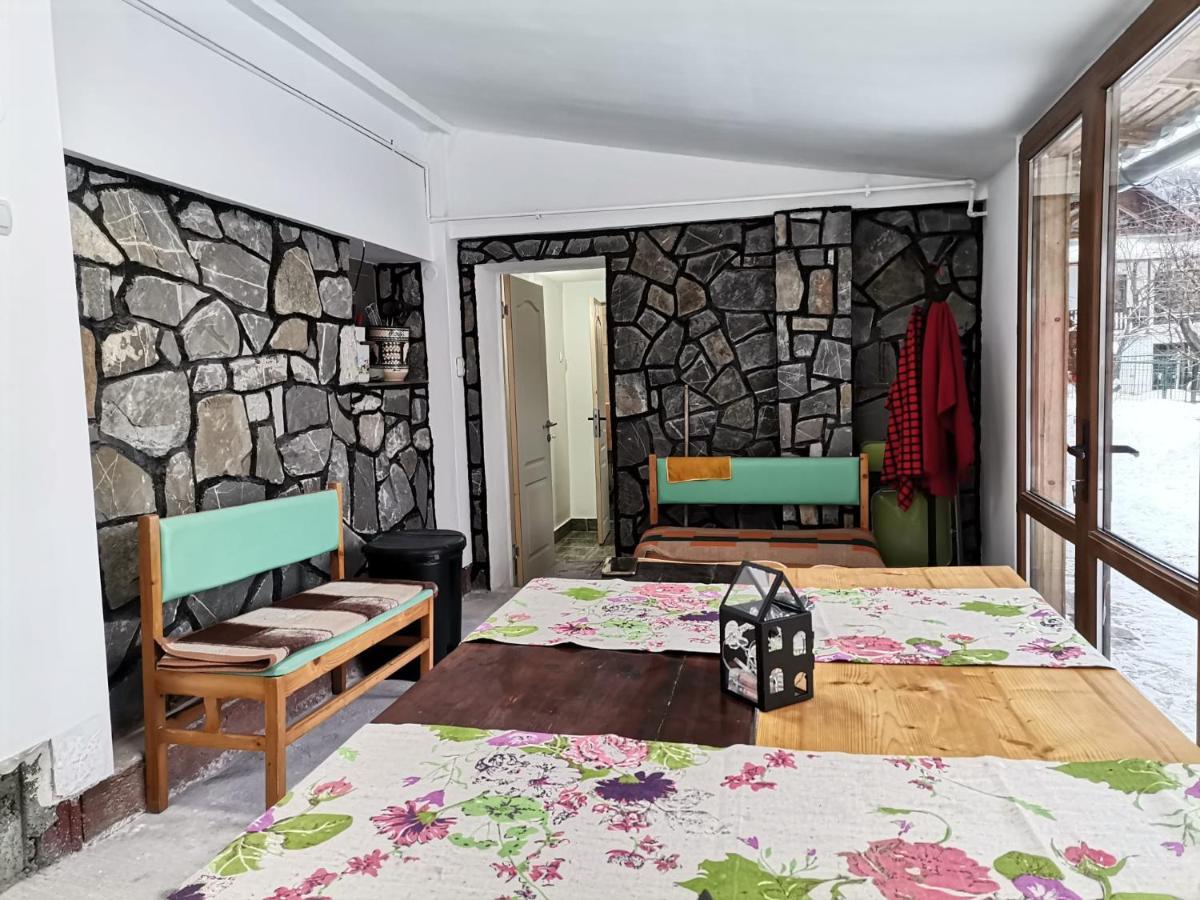 Zoso Home Busteni Ngoại thất bức ảnh